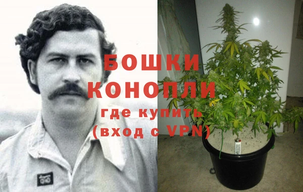 молекула духа Осинники