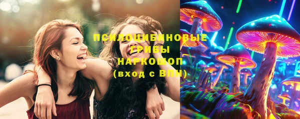 герыч Няндома