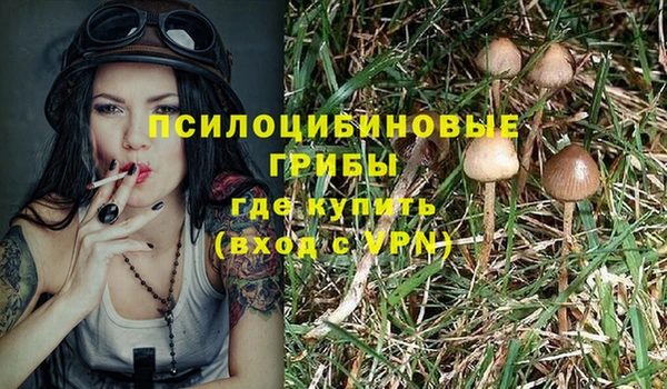 амф Остров