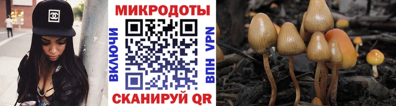 Псилоцибиновые грибы ЛСД Кяхта